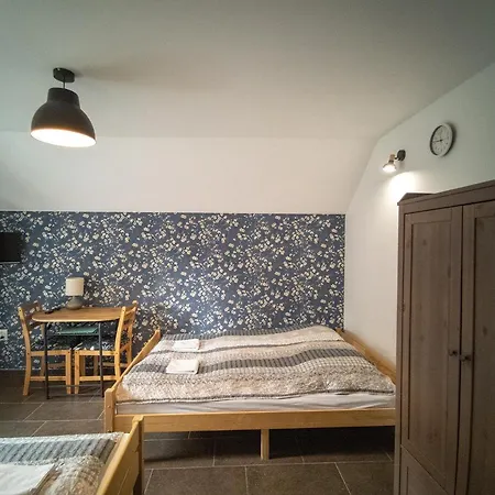 B&B Cis