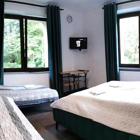 B&B Cis