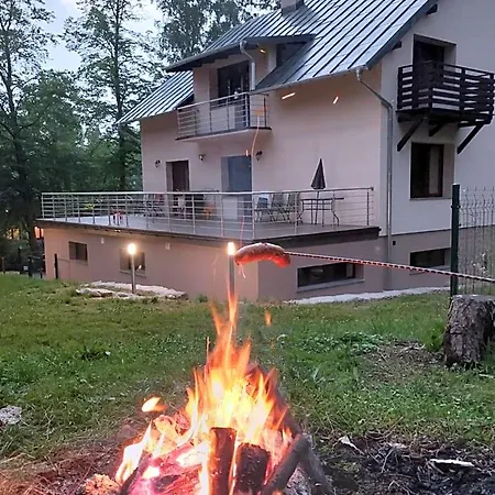 Cis 4*